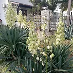 Apartament Liliana