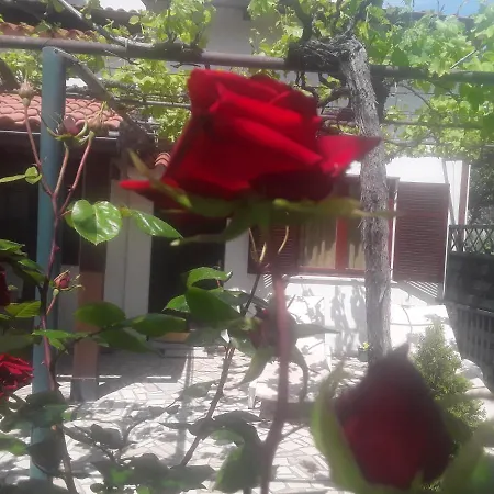 Liliana *